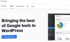 How to setup Google WordPress Plugin