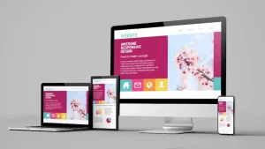 website designer in ballabgrah